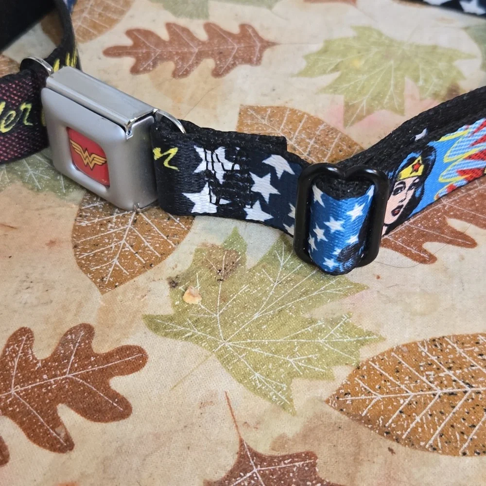 Wonder Women Belt